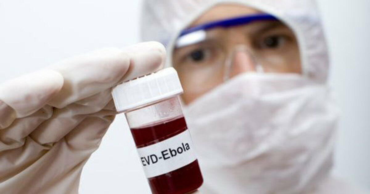 вакцина против желтой лихорадки. против лихорадки. против лихорадки. вакцина против лихорадки эбола. вакцинация против лихорадки ку.