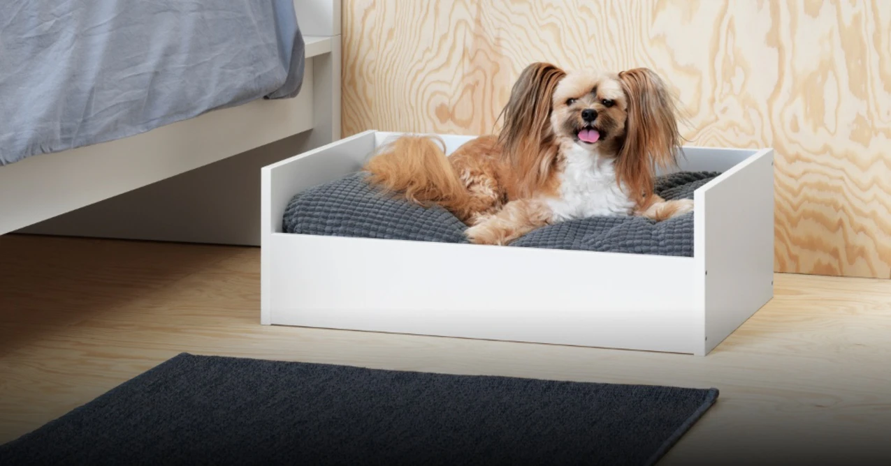 Ikea verkauft in Frankreich spezielle Mbel fr Haustiere | baden.fm