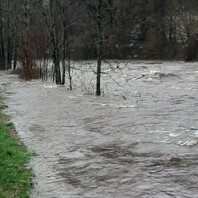 Hochwasser, Unwetter, Elz, Waldkirch, Überflutung