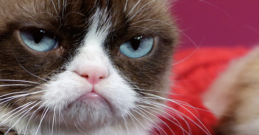 Grumpy Cat, Madmae Tussauds, © Barbara Munker-dpa