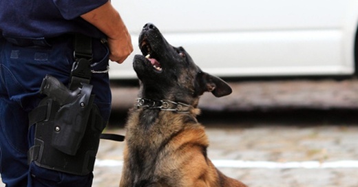 Bundespolizei, Diensthund, Hundestaffel, © Jens Wolf - dpa