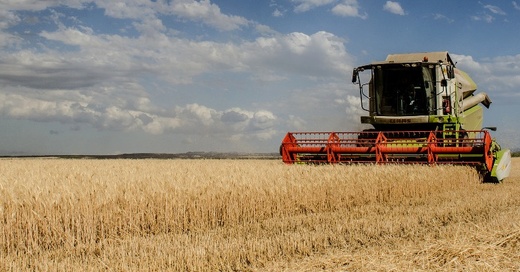 Landwirtschaft, Getreide, Ernte, © Pixabay