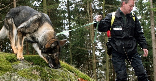 Hundestaffel, Polizei, Suchhunde, Vermisstensuche, © Uli Deck - dpa