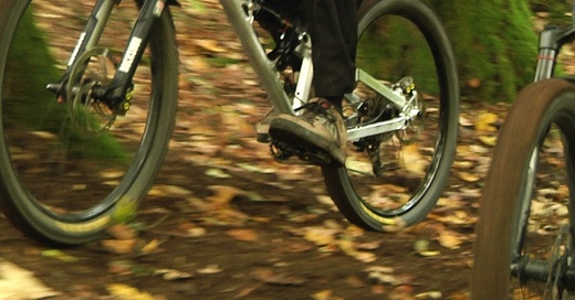 Mountainbike, Fahrrad, Wald, © baden.fm