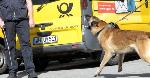 DHL, Post, Hund, Briefträger, © Franziska Kraufmann - dpa