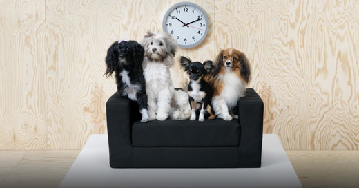 Ikea, Hunde, Tiermöbel, Möbel, © Marcus Hansen - Ikea