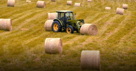 Heu, Ernte, Stroh, Landwirtschaft, © Pixabay (Symbolbild)