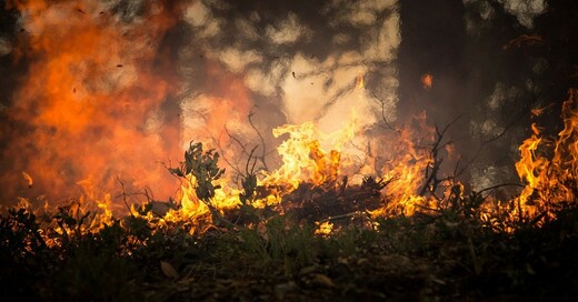 Waldbrand, Feuer, Flammen, © Pixabay (Symbolbild)