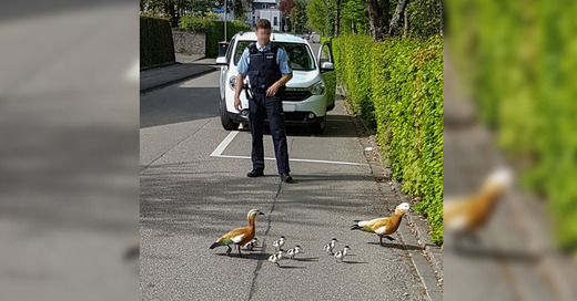 © Bild: Polizeipräsidium Freiburg
