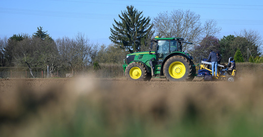 Spargelfeld, Erntehelfer, Traktor, Landwirtschaft, © Sebastian Gollnow - dpa (Symbolbild)