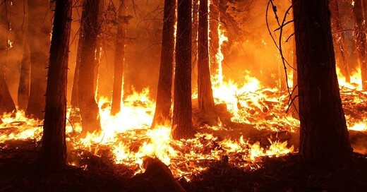 Waldbrand, Feuer, Flächenbrand, Bäume, © Pixabay (Symbolbild)