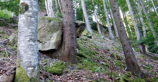 Landratsamt, Lörrach, Felsbrocken, Felsen, Utzenfeld, B317, © Landesamt für Geologie, Rohstoffe und Bergbau / RP Freiburg