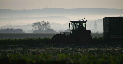 Traktor, Feld, Landwirtschaft, Ernte, Acker, Bauer, Landwirt, © Marijan Murat - dpa (Symbolbild)