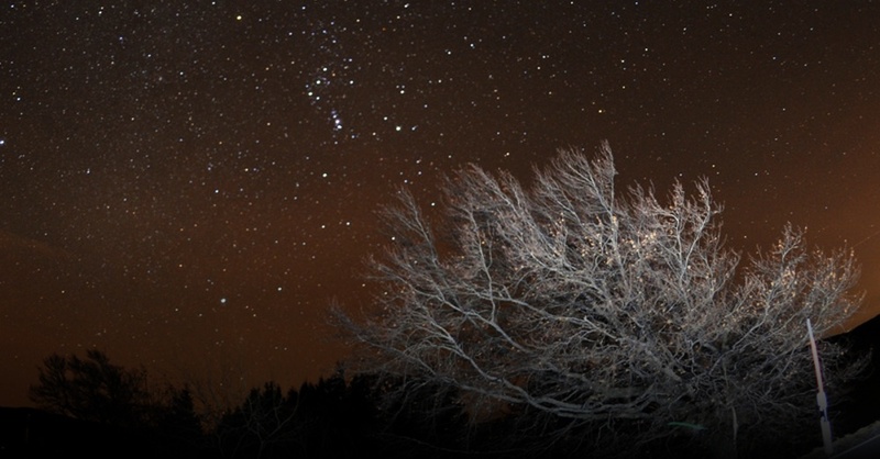 Leoniden, Sternschnuppe, Asteroid, Nachthimmel, © Patrick Seeger - dpa