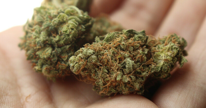 Drogen, Rauschgift, Marihuana, Gras, Cannabis, © Pixabay (Symbolbild)