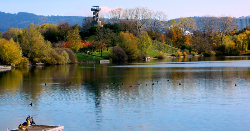 Seepark, Freiburg, Turm, Flückiger See, © Pixabay (Symbolbild)