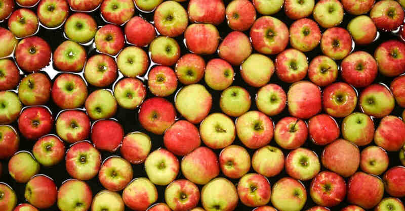 Apfel, Ernte, Lebensmittel, Großhandel, Streuobstwiese, © Felix Kästle - dpa (Symbolbild)
