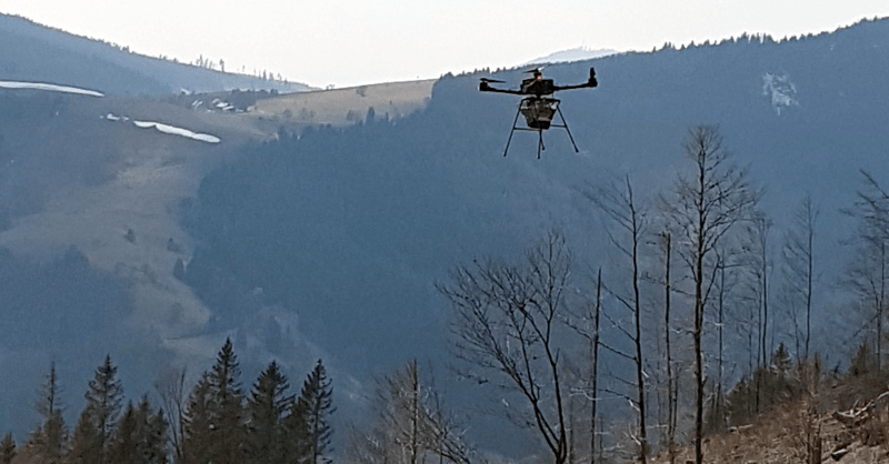 Drohne, Aussaat, Wald, Landkreis, Lörrach, © Landratsamt Lörrach