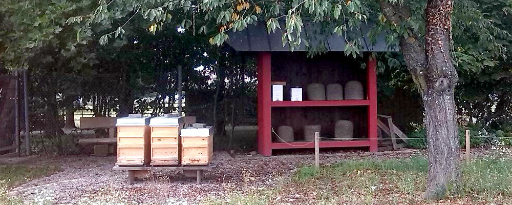 Bienenstand, Imker, Mundenhof