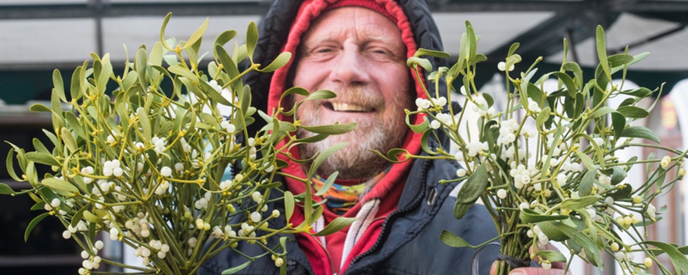 Mistel, Zweig, Gärtner